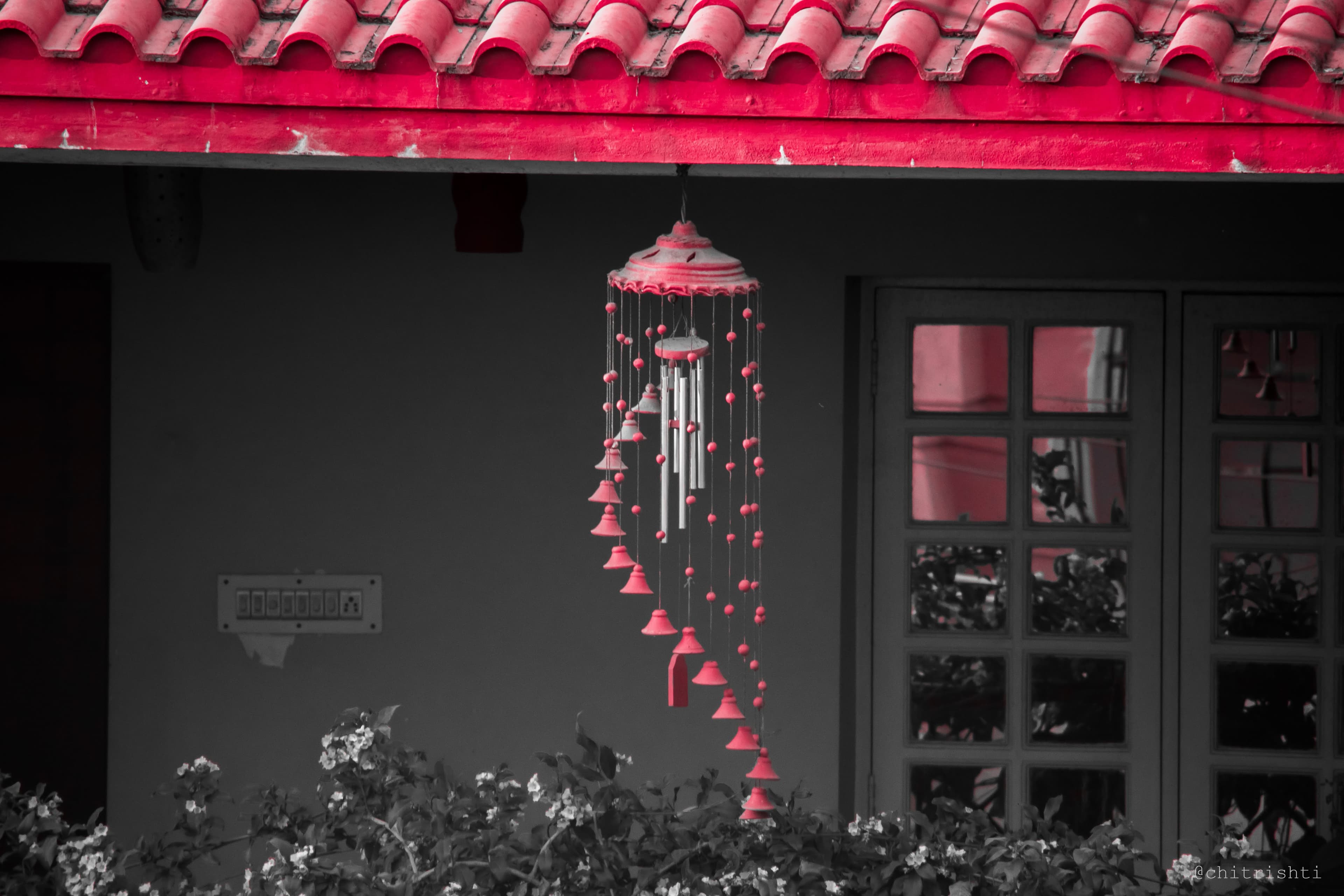 Gobind Singh | Extracurricular | Photography | Image 22