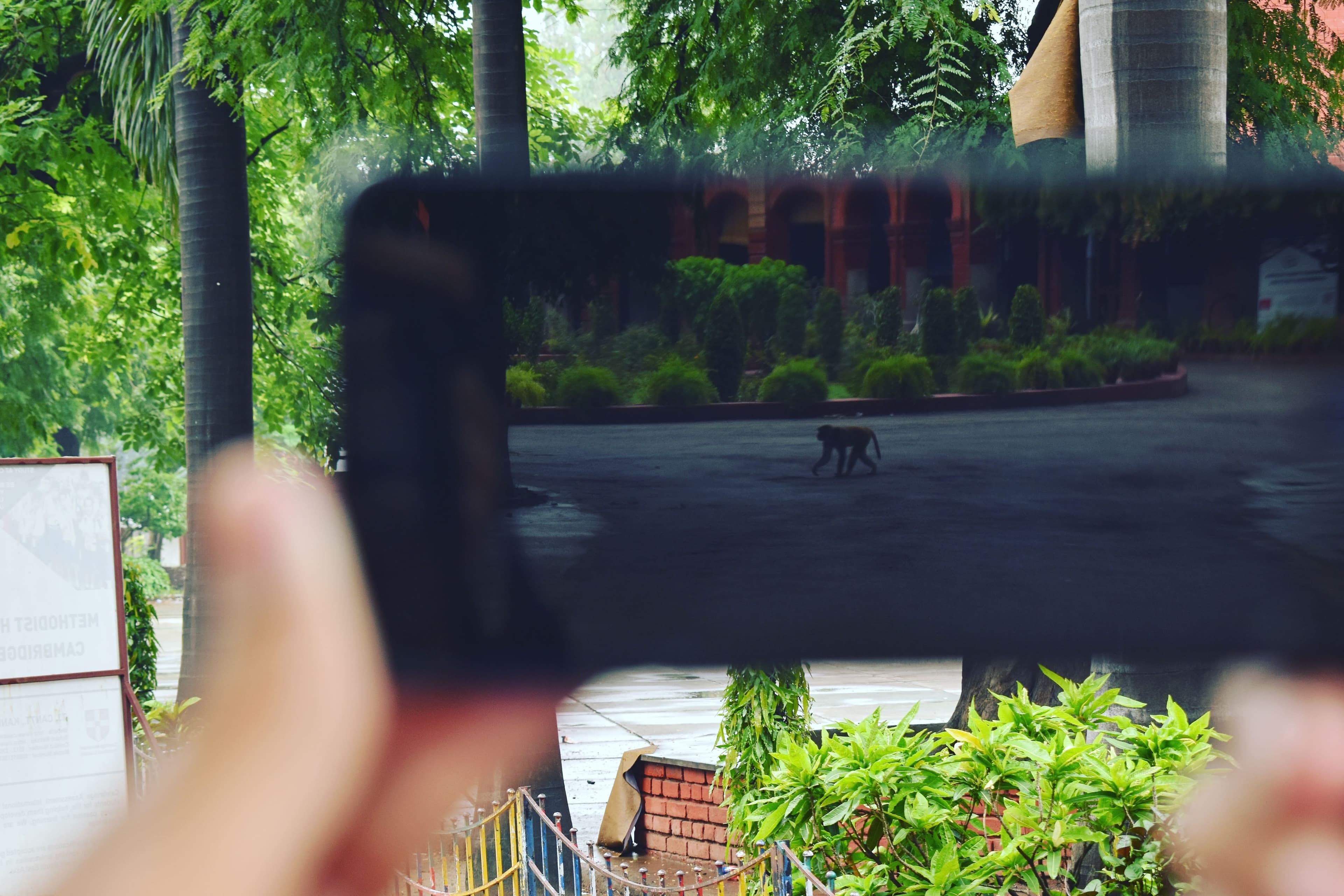 Gobind Singh | Extracurricular | Photography | Image 28