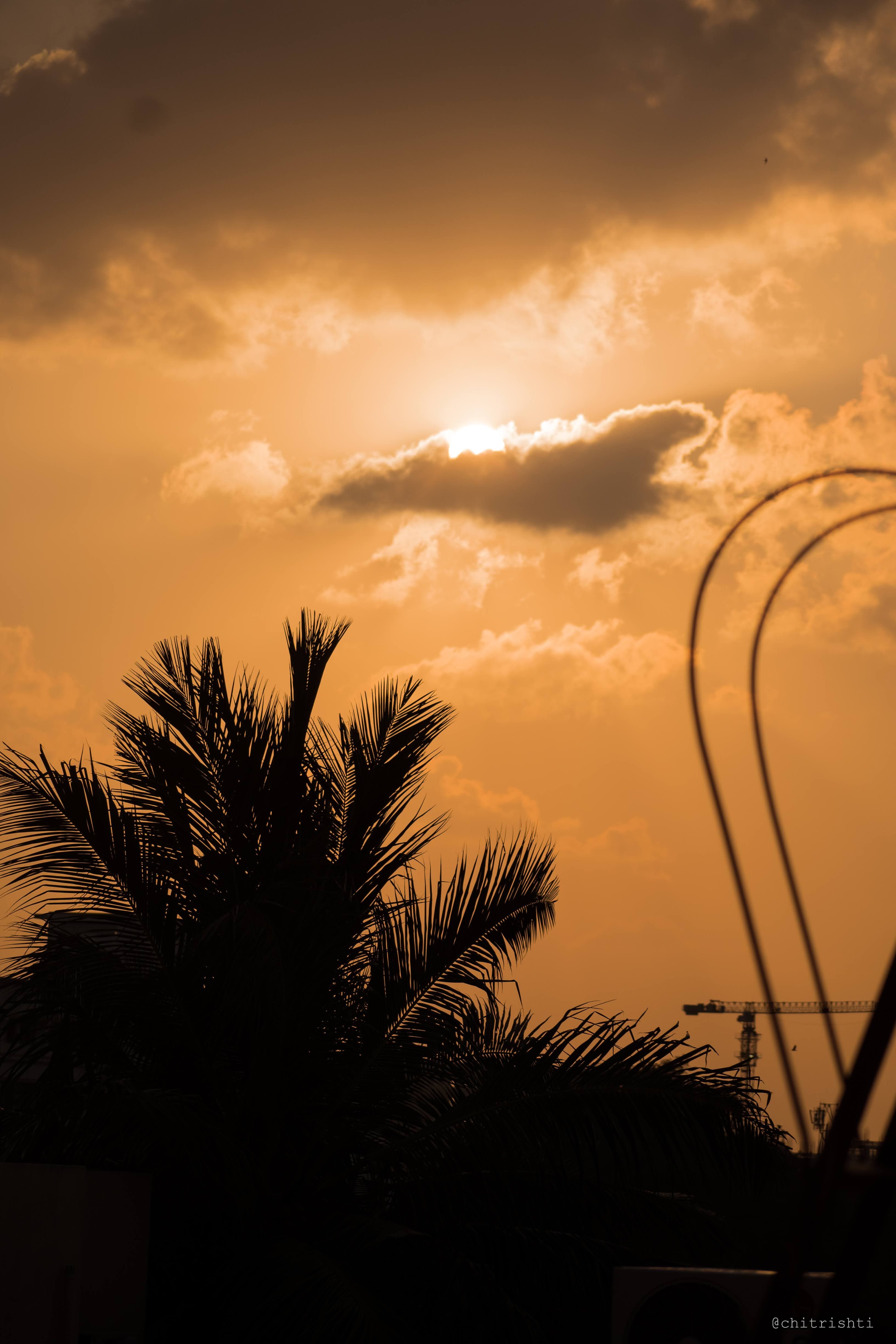 Gobind Singh | Extracurricular | Photography | Image 16